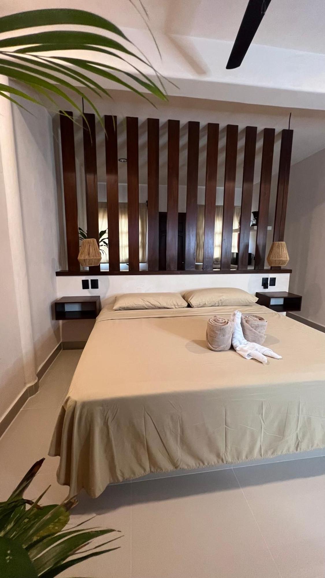 Casa Palmas Appartement